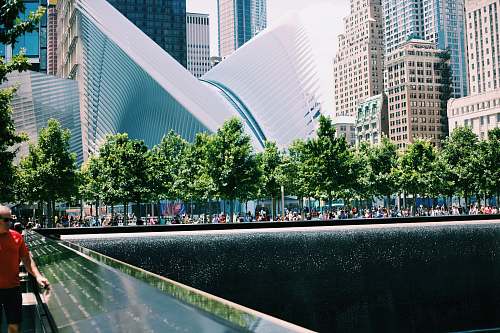 crowd green leafed trees beside body of water near buildings united states